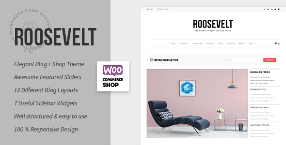 Roosevelt – Responsive WordPress Blog Theme