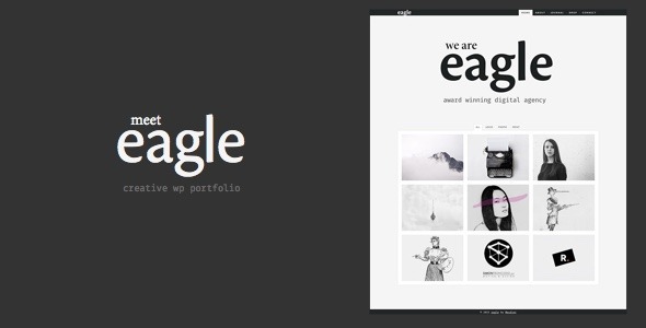 Eagle – Freelancer & Agency Layers WP Child Theme